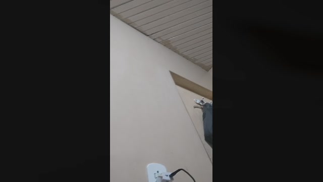 Bissexualsafada  09-09-2022